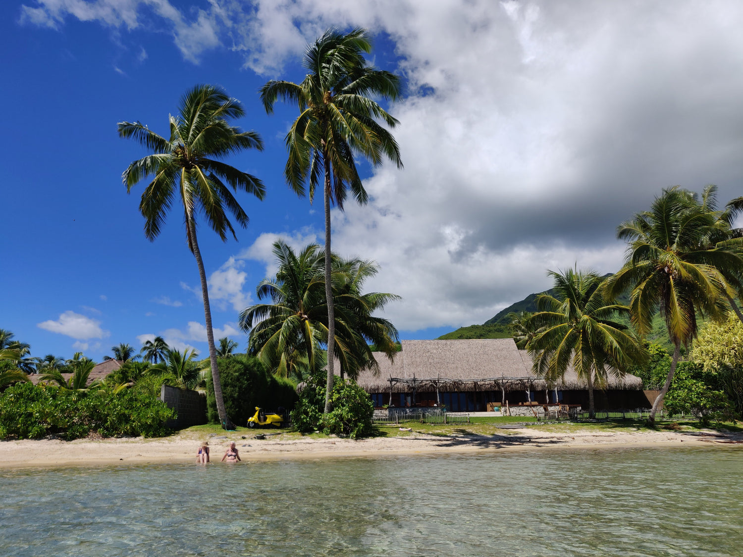 Hello scoot Tahiti Fenua